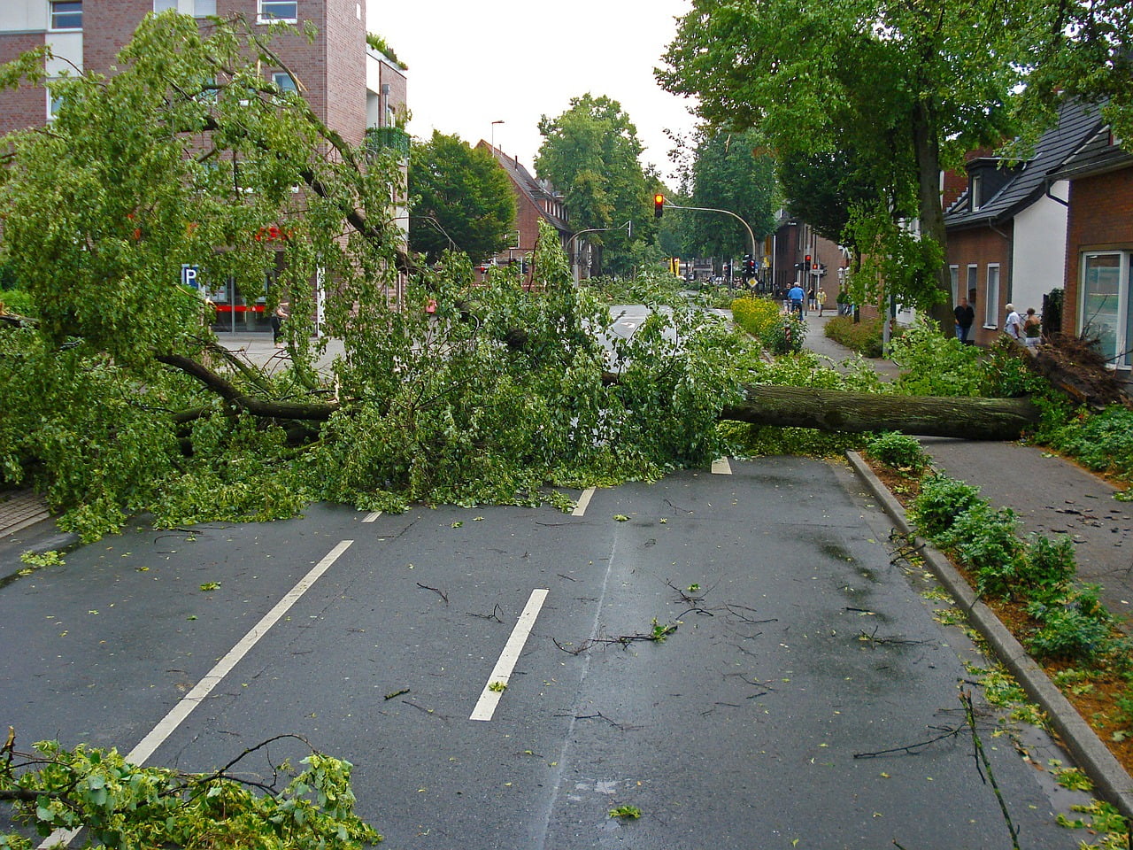 Plusieurs lignes de chemin de fer sont fermées en raison de vents violents 4 Plusieurs lignes de chemin de fer sont fermées en raison de vents violents - 3