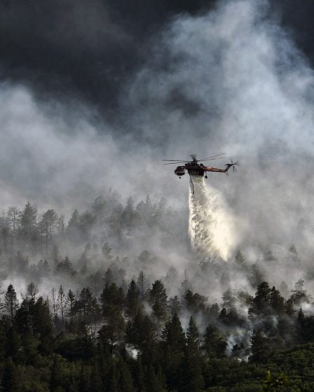 Meilleure préparation aux incendies de forêt 24 Meilleure préparation aux incendies de forêt - 23