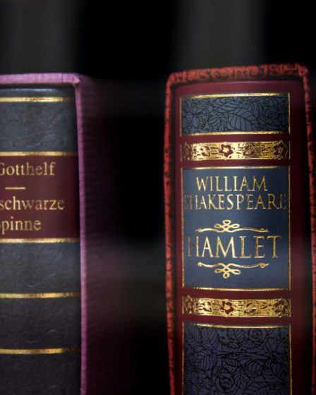 « Hamlet » : une pièce qui parle des pandémies passées et présentes - 7