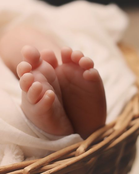"Jamais si peu de perdus": le nombre de morts-nés le plus bas jamais enregistré - 22