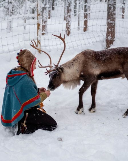 Le Musée national de Finlande rend le patrimoine culturel sami 5 Le Musée national de Finlande rend le patrimoine culturel sami - 4