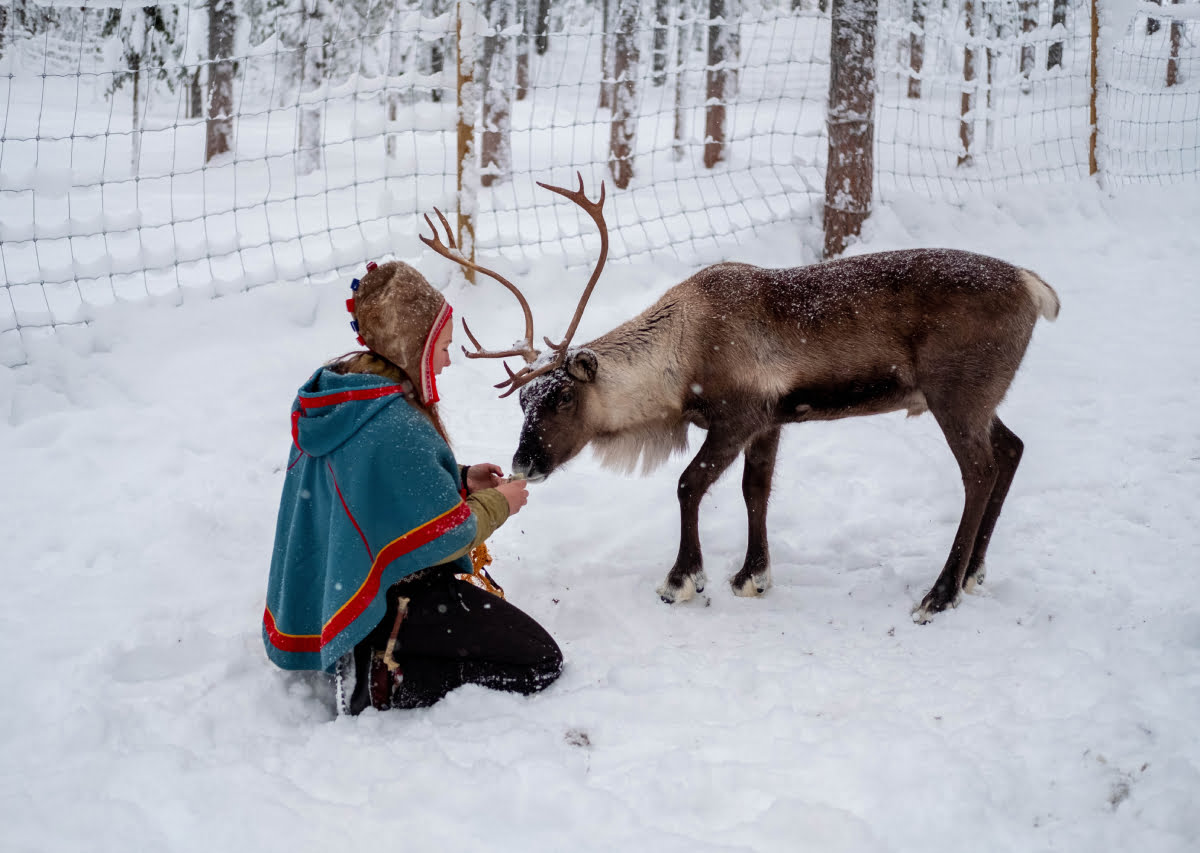 Le Musée national de Finlande rend le patrimoine culturel sami - 3