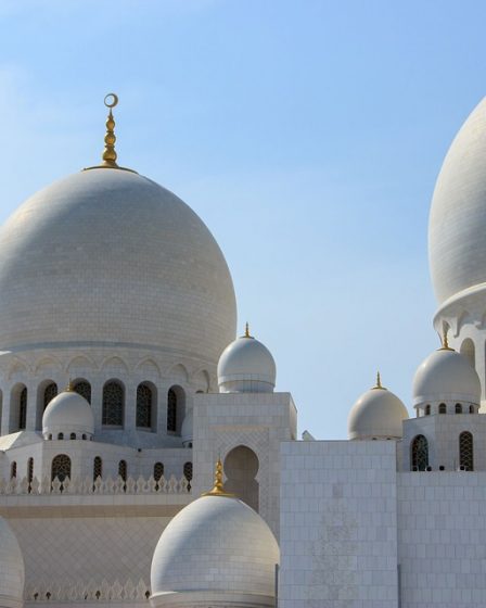 Au moins 950 attaques contre des musulmans en Allemagne l'année dernière 31 Au moins 950 attaques contre des musulmans en Allemagne l'année dernière - 30