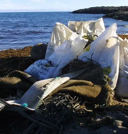Des dizaines de milliers de personnes prêtes pour le nettoyage des plages 33 Des dizaines de milliers de personnes prêtes pour le nettoyage des plages - 32