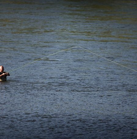 Les faibles niveaux d'eau arrêtent la pêche au saumon à Gaula 5 Les faibles niveaux d'eau arrêtent la pêche au saumon à Gaula - 4