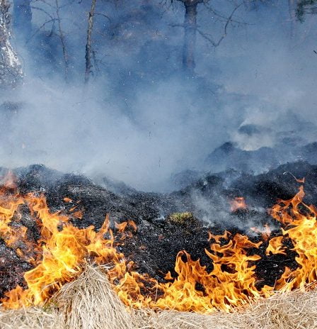 Risque d'incendie sur toute la côte ouest 20 Risque d'incendie sur toute la côte ouest - 19