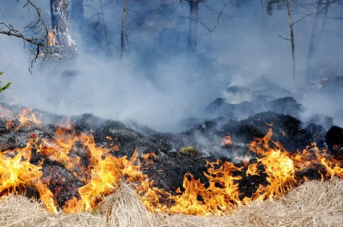 Risque d'incendie sur toute la côte ouest 4 Risque d'incendie sur toute la côte ouest - 3
