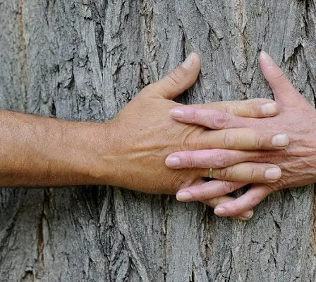 La religion est importante pour les choix de partenaire à la fois pour les Norvégiens natifs et les immigrés norvégiens 2 La religion est importante pour les choix de partenaire à la fois pour les Norvégiens natifs et les immigrés norvégiens - 1