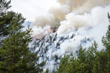 Grand risque d'incendie de forêt dans plus de régions du pays - 19