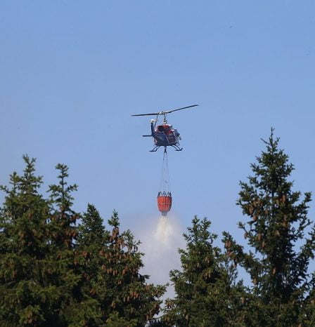 Le gouvernement renforce le service d'incendie pour les incendies de forêt 24 Le gouvernement renforce le service d'incendie pour les incendies de forêt - 23