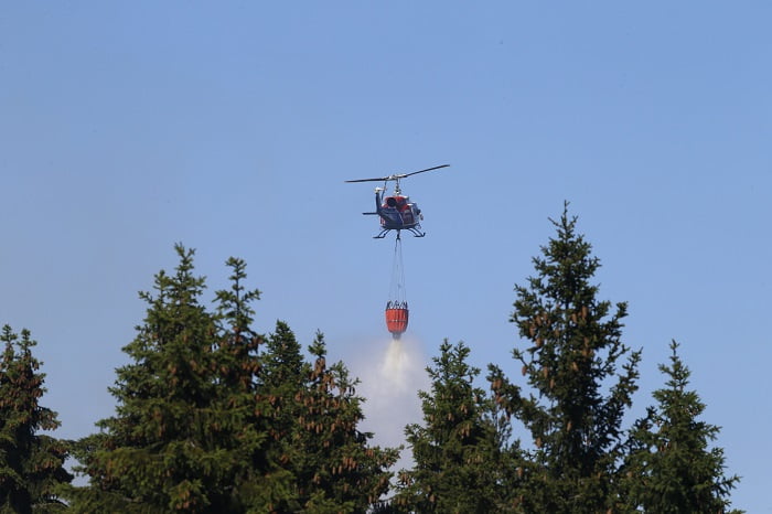 Le gouvernement renforce le service d'incendie pour les incendies de forêt 4 Le gouvernement renforce le service d'incendie pour les incendies de forêt - 3
