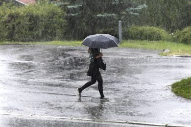 Vers le week-end, les météorologues prévoient de fortes précipitations dans l'est de la Norvège - 16