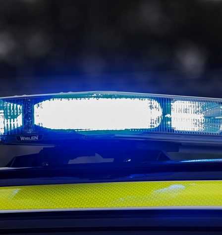 Un chien abattu après avoir attaqué la police à Oppland 2 Un chien abattu après avoir attaqué la police à Oppland - 1