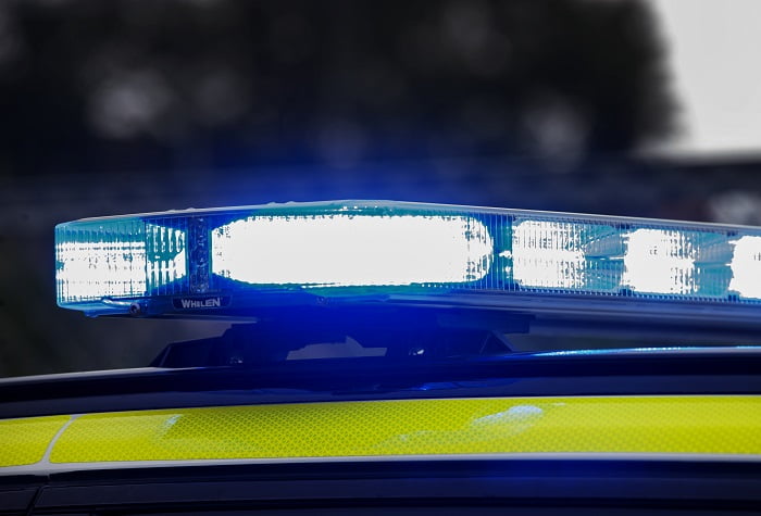 Un chien abattu après avoir attaqué la police à Oppland 4 Un chien abattu après avoir attaqué la police à Oppland - 3