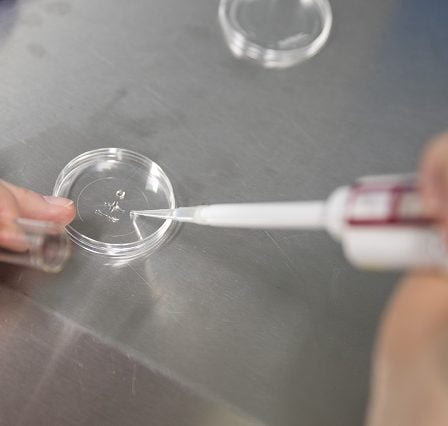 L'insémination artificielle augmente considérablement - Norway Today 19 L'insémination artificielle augmente considérablement - Norway Today - 18