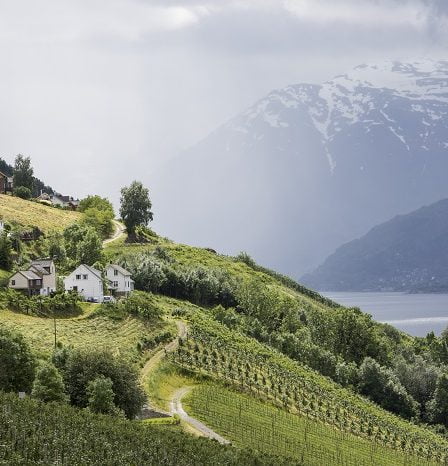 Slide Swamps Eidfjord Road - La Norvège aujourd'hui 2 Slide Swamps Eidfjord Road - La Norvège aujourd'hui - 1