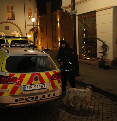 Un homme mort, un autre accusé de sa mort après une violente altercation à Ålesund 8 Un homme mort, un autre accusé de sa mort après une violente altercation à Ålesund - 7