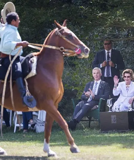 Le couple royal assiste au Gaucho Show 23 Le couple royal assiste au Gaucho Show - 22