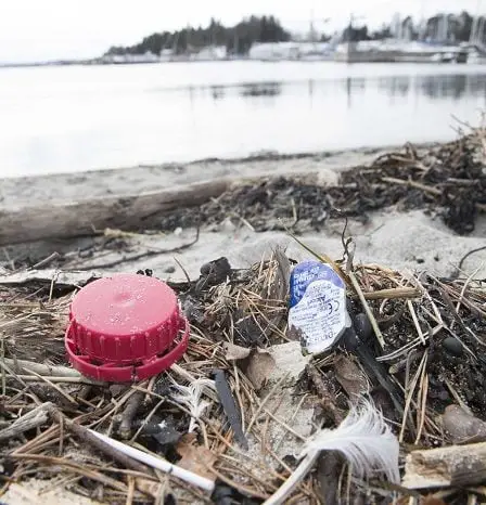 Premier ministre britannique : « Interdire les plastiques à usage unique » 2 Premier ministre britannique : « Interdire les plastiques à usage unique » - 1