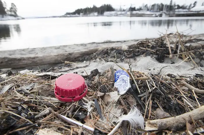Premier ministre britannique : « Interdire les plastiques à usage unique » 4 Premier ministre britannique : « Interdire les plastiques à usage unique » - 3