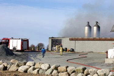 Des milliers de poulets perdus dans un incendie au Rogaland - 16
