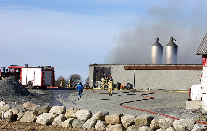 Des milliers de poulets perdus dans un incendie au Rogaland 4 Des milliers de poulets perdus dans un incendie au Rogaland - 3