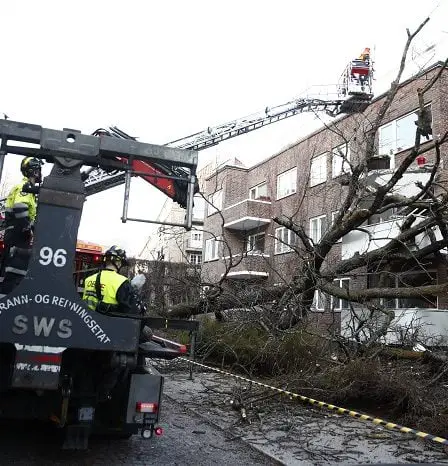 Un arbre est tombé contre un immeuble à Oslo 2 Un arbre est tombé contre un immeuble à Oslo - 1