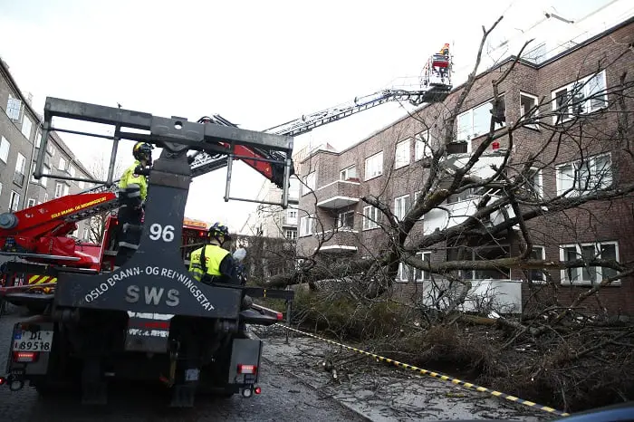 Un arbre est tombé contre un immeuble à Oslo 4 Un arbre est tombé contre un immeuble à Oslo - 3