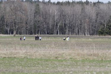 Un parachute raté tue un Vestfold Man - 8