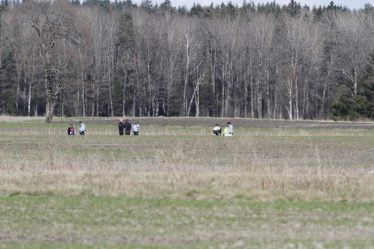 Un parachute raté tue un Vestfold Man - 38