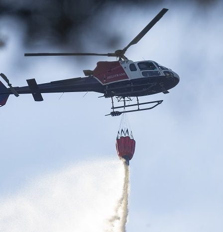 Plus d'argent pour la prévention des incendies de forêt 11 Plus d'argent pour la prévention des incendies de forêt - 10
