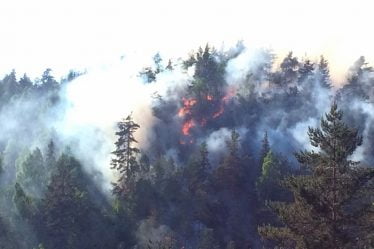 Un pompier décède après avoir éteint un feu de forêt à Akershus - 18
