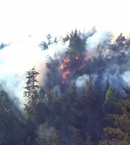 Un pompier décède après avoir éteint un feu de forêt à Akershus 8 Un pompier décède après avoir éteint un feu de forêt à Akershus - 7