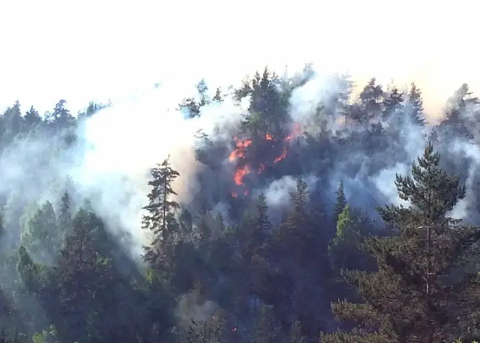 Un pompier décède après avoir éteint un feu de forêt à Akershus 4 Un pompier décède après avoir éteint un feu de forêt à Akershus - 3