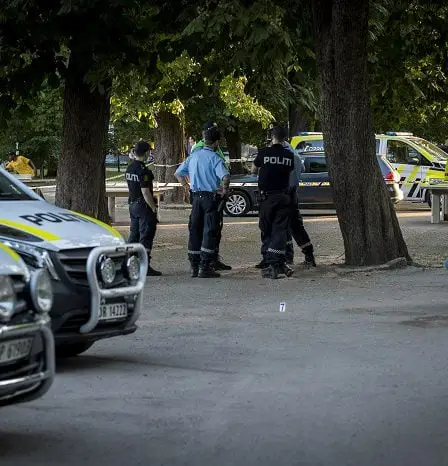Un Irakien recherché après une tentative de meurtre au parc Sofienberg 5 Un Irakien recherché après une tentative de meurtre au parc Sofienberg - 4