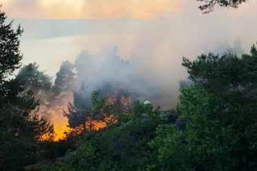 Près de 300 incendies de forêt jusqu'à présent cette année - 18