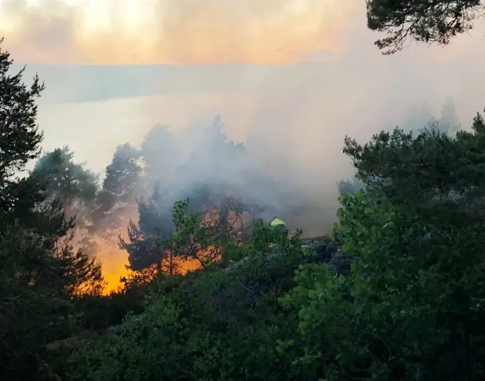 Près de 300 incendies de forêt jusqu'à présent cette année - 3