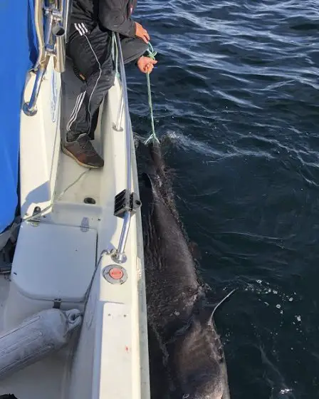 J'ai attrapé un requin de trois mètres de long 23 J'ai attrapé un requin de trois mètres de long - 22