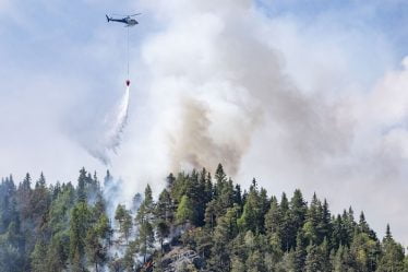 Les incendies de forêt se multiplient dans certaines parties du sud de la Norvège - 21