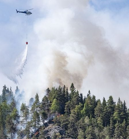 Les incendies de forêt se multiplient dans certaines parties du sud de la Norvège 8 Les incendies de forêt se multiplient dans certaines parties du sud de la Norvège - 7
