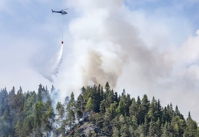 Les incendies de forêt se multiplient dans certaines parties du sud de la Norvège 4 Les incendies de forêt se multiplient dans certaines parties du sud de la Norvège - 3