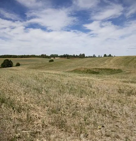 L'été sec de cette année pourrait être pire que la sécheresse de 1947 26 L'été sec de cette année pourrait être pire que la sécheresse de 1947 - 25