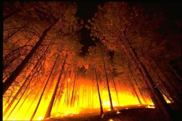 Un citoyen danois accusé d'avoir déclenché le troisième plus grand incendie de forêt de l'histoire du Colorado - 16