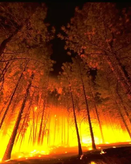 Un citoyen danois accusé d'avoir déclenché le troisième plus grand incendie de forêt de l'histoire du Colorado - 22