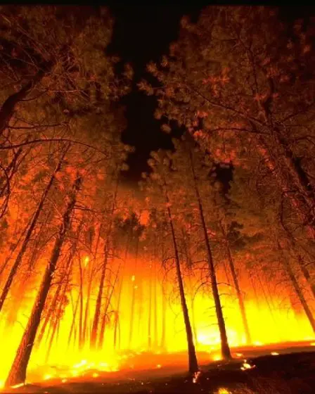 Un citoyen danois accusé d'avoir déclenché le troisième plus grand incendie de forêt de l'histoire du Colorado 5 Un citoyen danois accusé d'avoir déclenché le troisième plus grand incendie de forêt de l'histoire du Colorado - 4