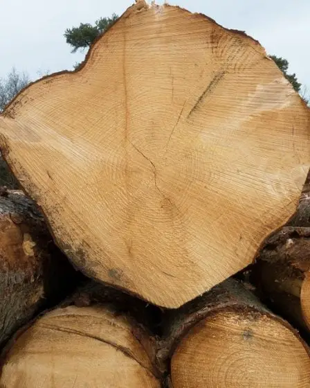 Les températures froides conduisent à des dépôts de bois de chauffage vides 5 Les températures froides conduisent à des dépôts de bois de chauffage vides - 4