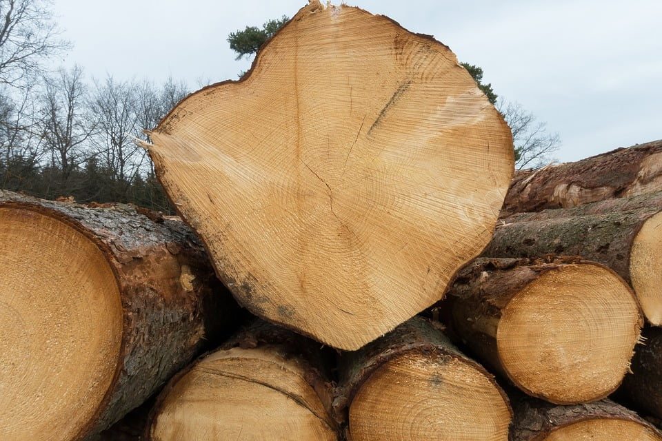 Les températures froides conduisent à des dépôts de bois de chauffage vides 4 Les températures froides conduisent à des dépôts de bois de chauffage vides - 3