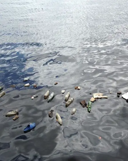 80 millions pour l'assainissement des stations d'épuration des eaux usées 31 80 millions pour l'assainissement des stations d'épuration des eaux usées - 30