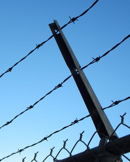 Un petit agriculteur condamné à une peine de prison pour cruauté envers les animaux 25 Un petit agriculteur condamné à une peine de prison pour cruauté envers les animaux - 24