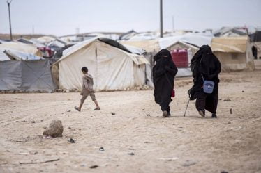 Le Danemark ramène de Syrie des femmes liées à l'EIIS et leurs enfants - 16